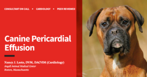 www_cliniciansbrief_com_sites_default_files_attachments_COC_Canine_20Pericardial_20Effusion_pdf 2 copy