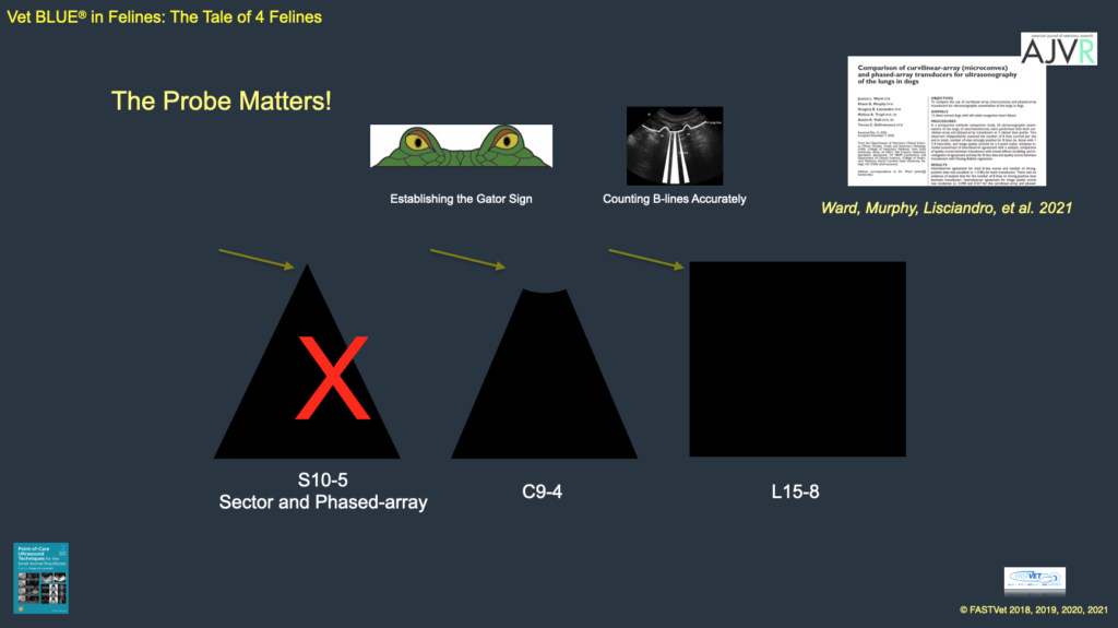 ECC and IM Blog, May 2022 - The Probe Matters for Vet BLUE® Lung ...