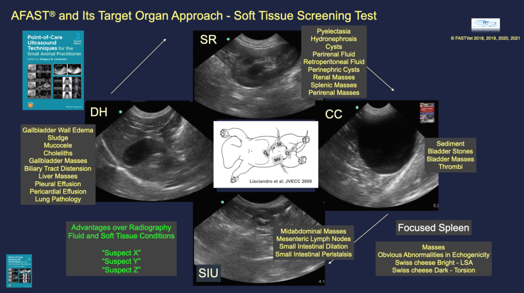 05 AFAST® and Its Target-organ Approach for Obvious Soft Tissue ...